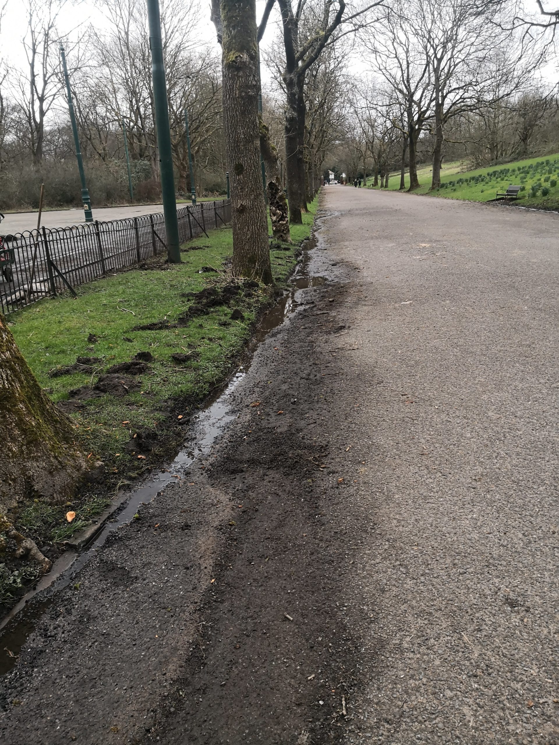 Cleaning up the Avenue side to allow better drainage of the hill